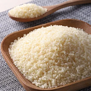 Hot sale good price 200 Bloom gelatin powder